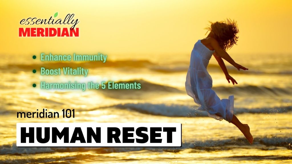 Meridian 101 Human Reset